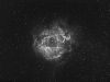 The Rosette Nebula